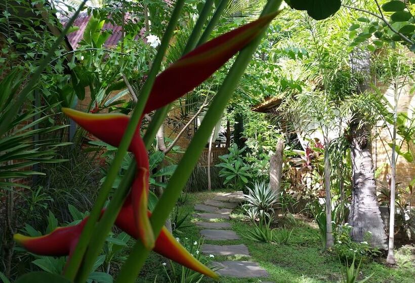 Fotos del hotel Villas Light House:  15