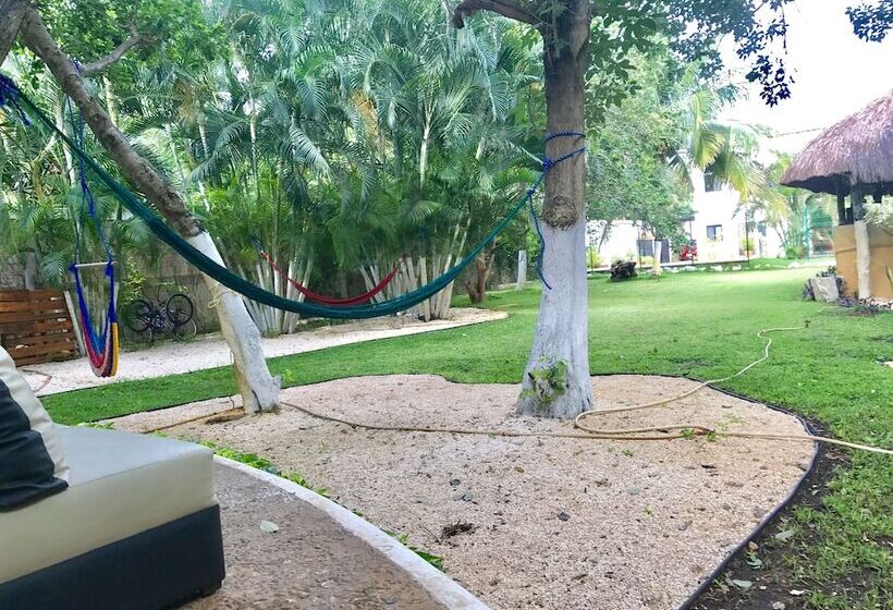 Fotos del hotel Casa La Selva:  15