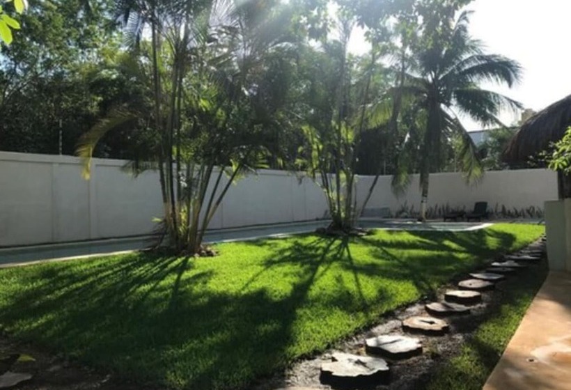 Fotos del hotel Casa La Selva:  22