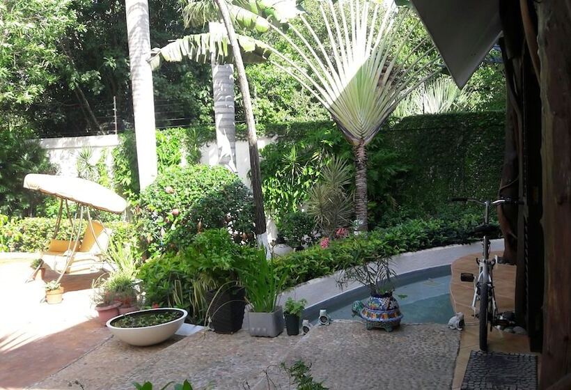 Fotos del hotel Casa La Selva:  9