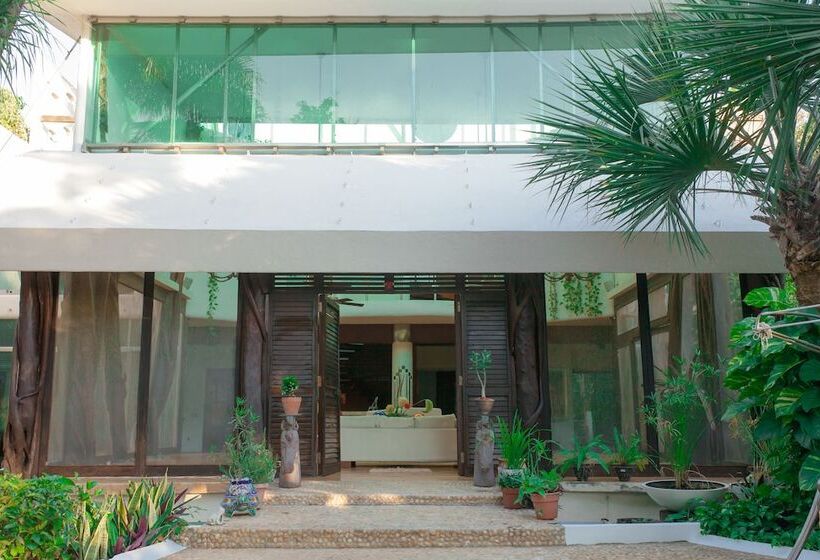 Fotos del hotel Casa La Selva:  13