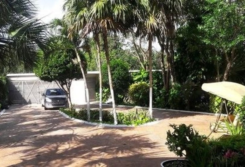 Fotos del hotel Casa La Selva:  23