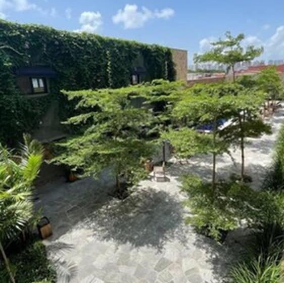 Fotos del hotel Pauli:  17