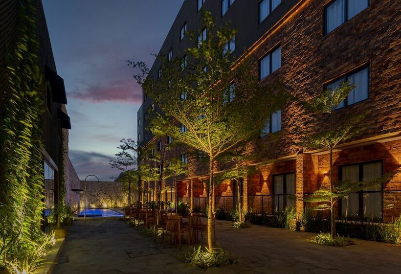 Fotos del hotel Pauli:  22