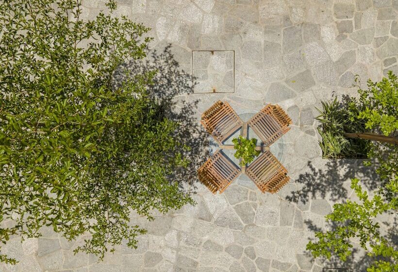 Fotos del hotel Pauli:  21