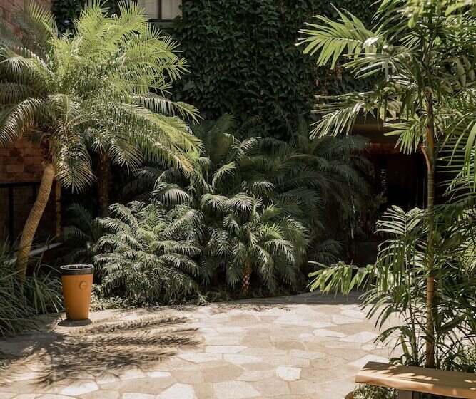 Fotos del hotel Pauli:  19