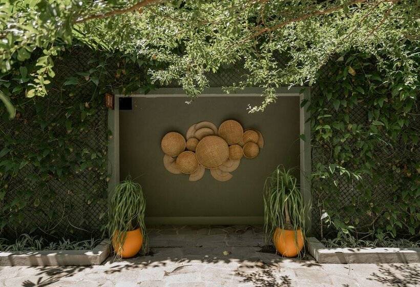 Fotos del hotel Pauli:  16