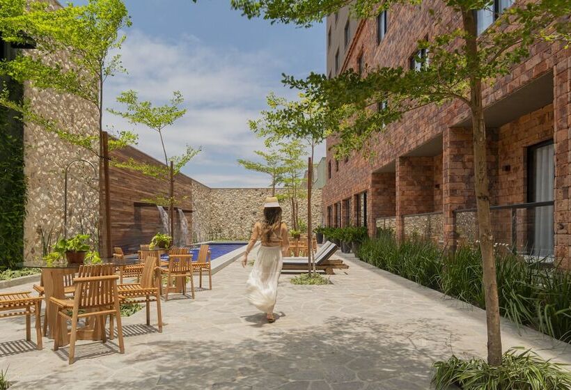 Fotos del hotel Pauli:  2