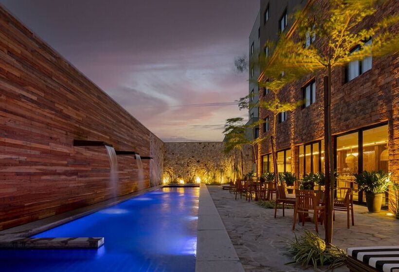 Fotos del hotel Pauli:  15