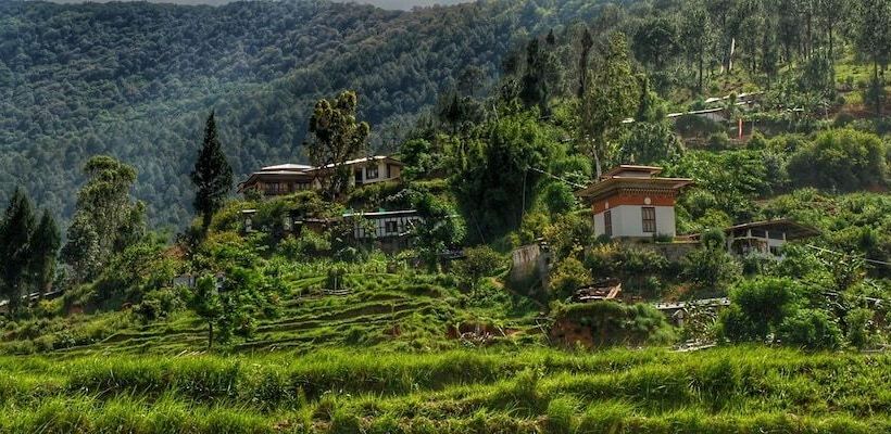 Fotos del hotel Drubchu Resort:  17