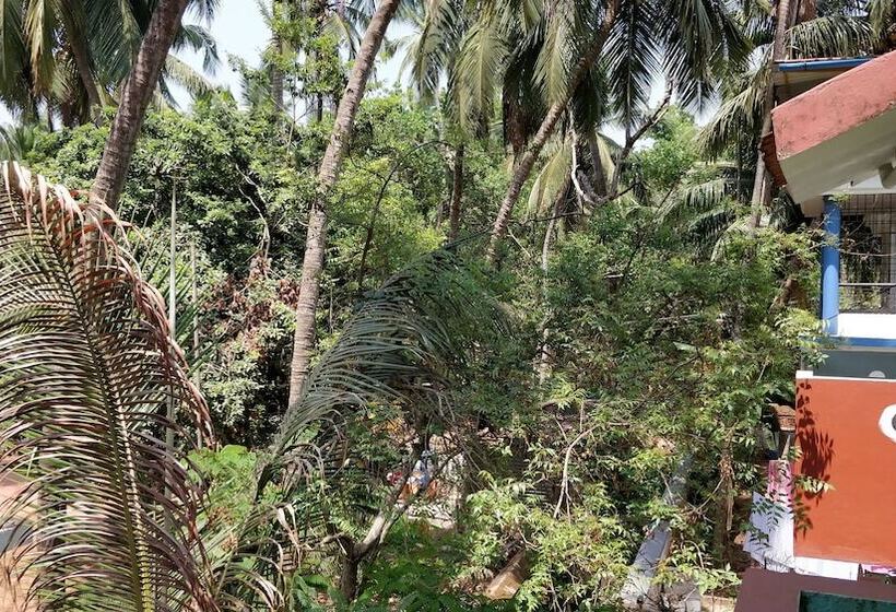 Fotos del hotel Beachwalk:  25