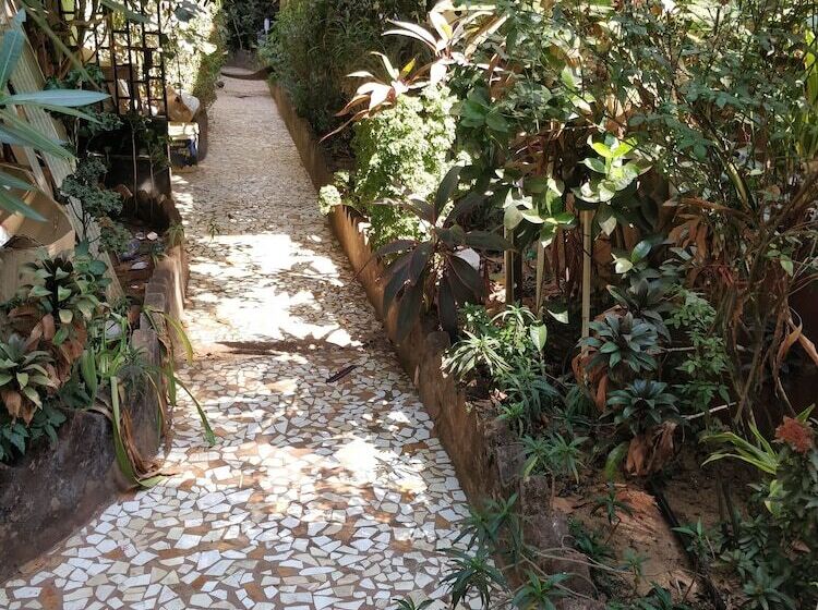 Fotos del hotel Beachwalk:  8