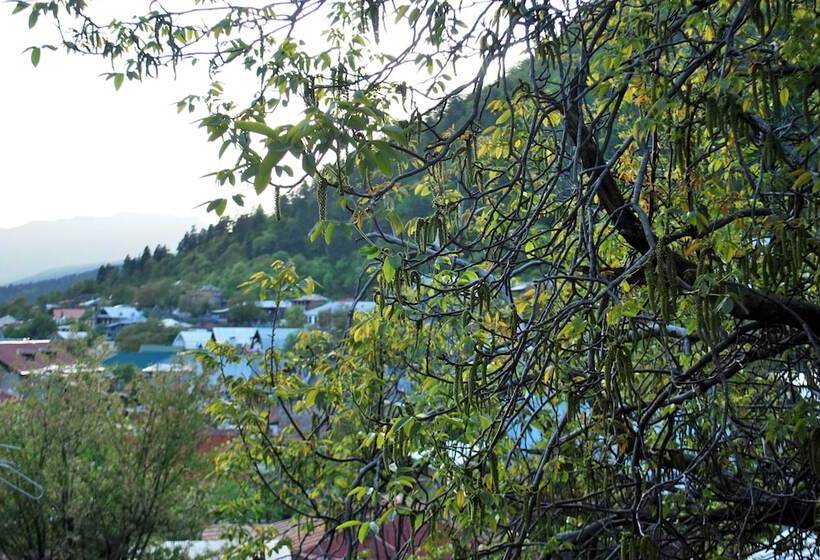 Fotos del hotel Old Borjomi:  22