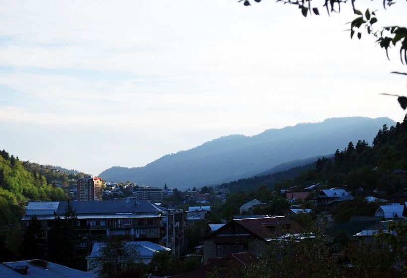 Fotos del hotel Old Borjomi:  21