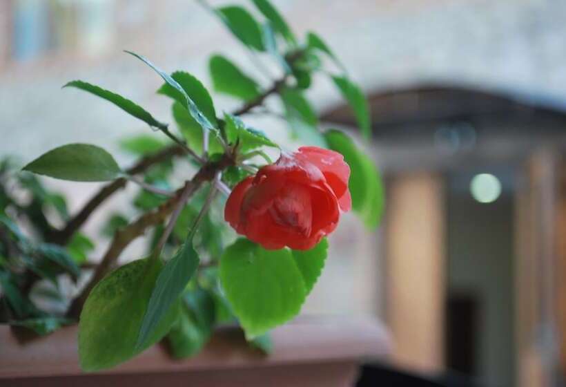 Fotos del hotel Old Borjomi:  3