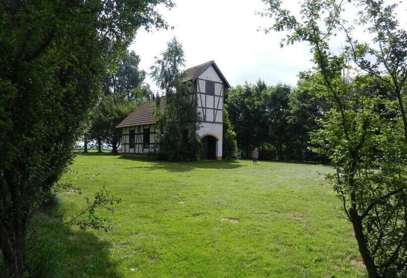 Fotos del hotel Landhotel Zum Nicolaner:  4