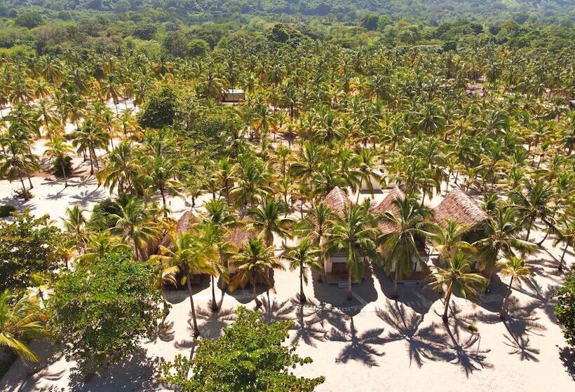 Fotos del hotel Tay Beach:  2