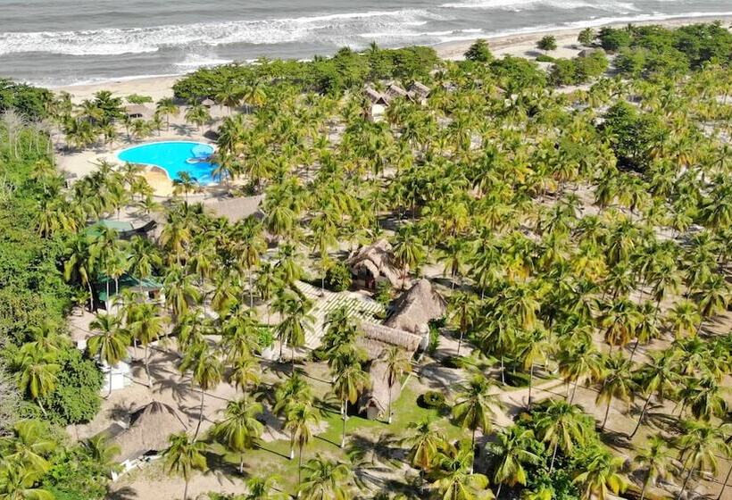 Fotos del hotel Tay Beach:  5