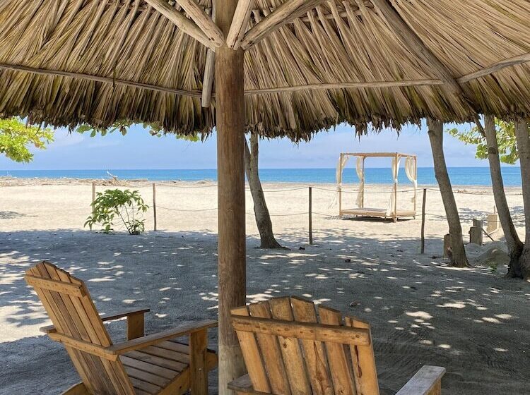 Fotos del hotel Tay Beach:  8