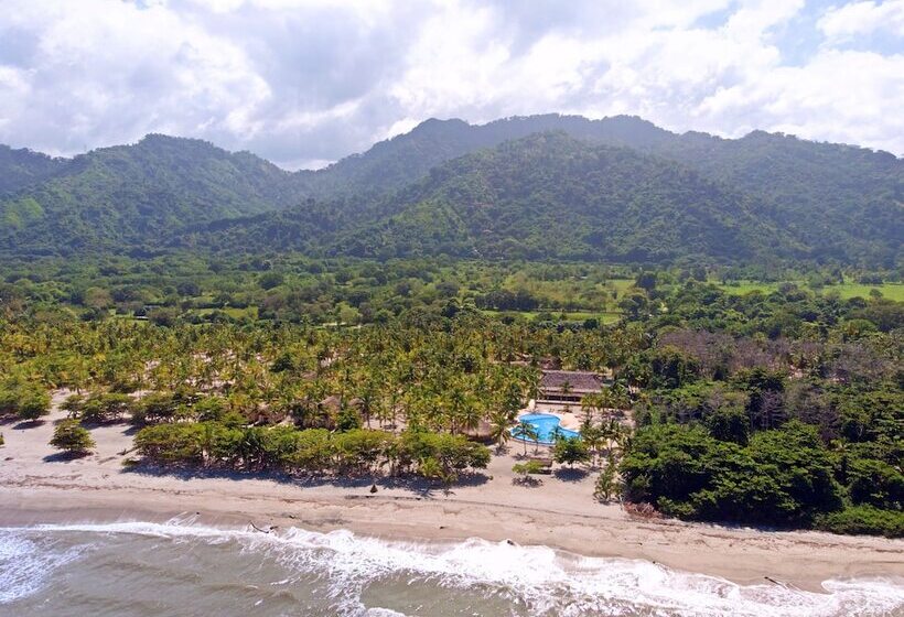 Fotos del hotel Tay Beach:  10