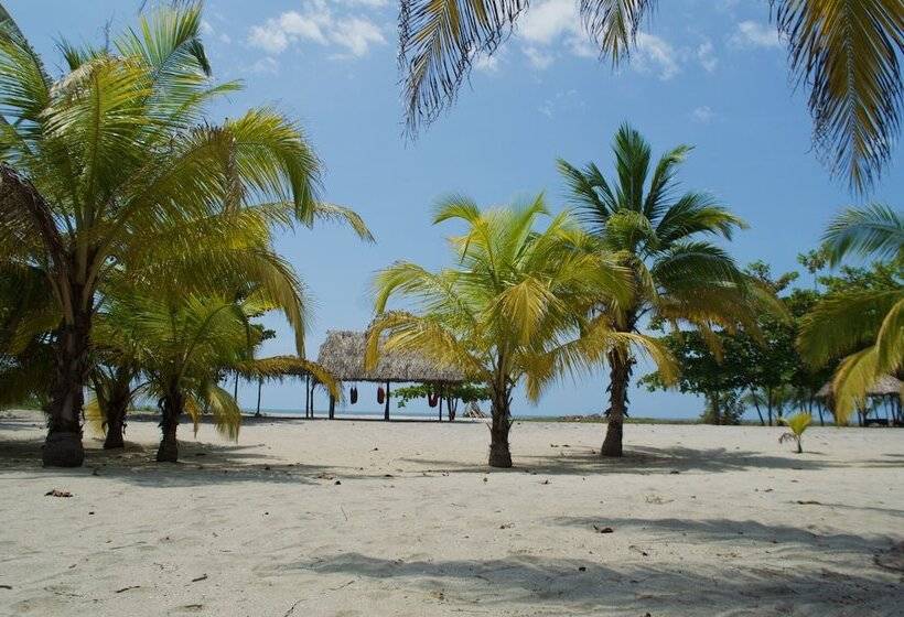 Fotos del hotel Tay Beach:  12