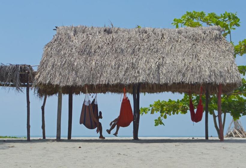 Fotos del hotel Tay Beach:  13