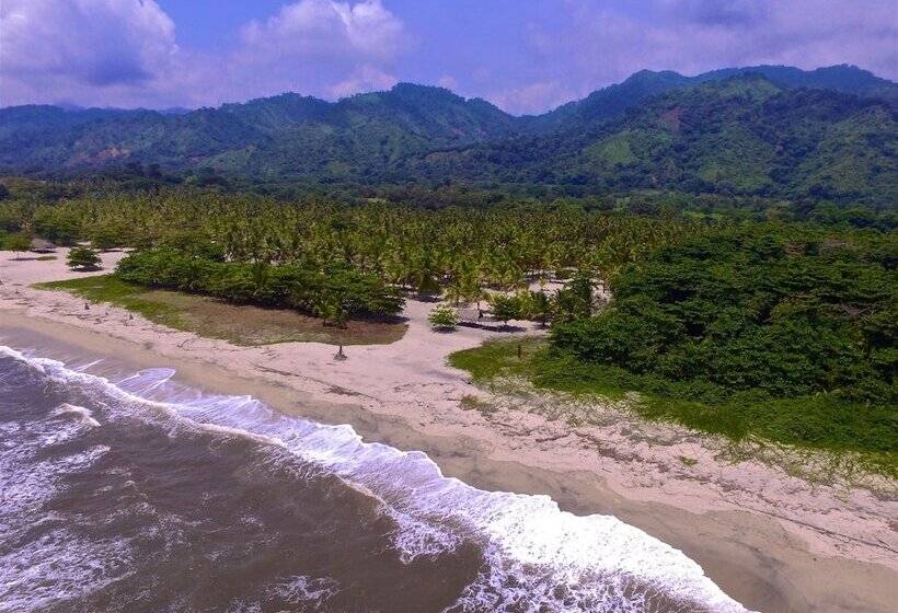 Fotos del hotel Tay Beach:  14