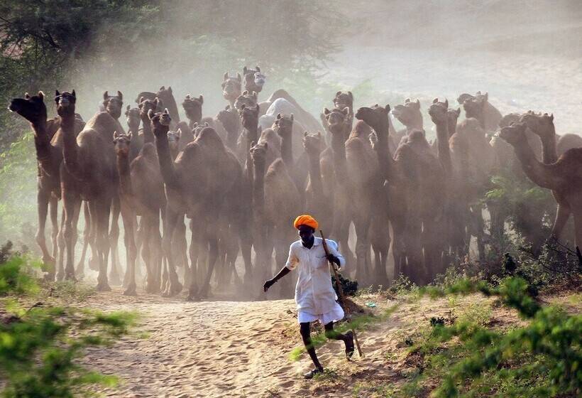 Fotos del hotel Royal Rawat Palace:  19