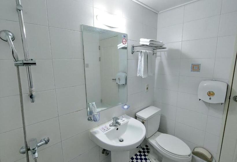 Fotos del hotel Sky Leaders:  4