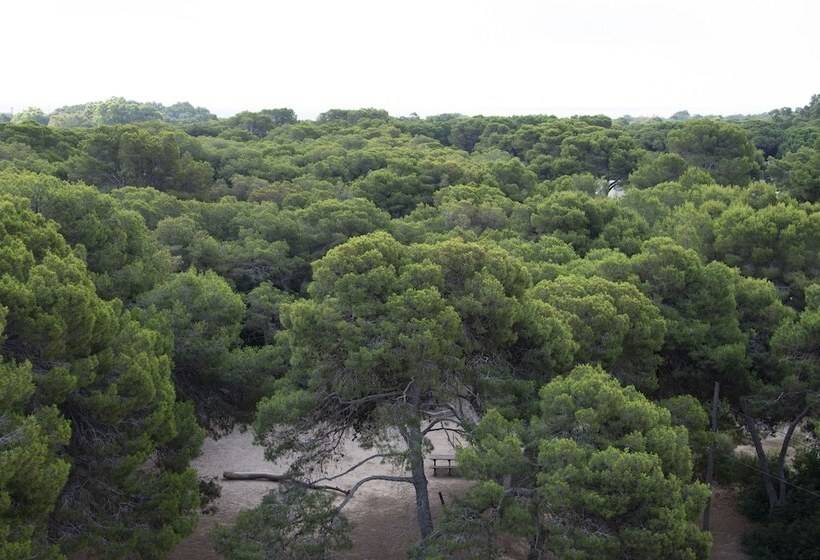 Fotos del hotel You & Co. Saler Beach Boutique:  23