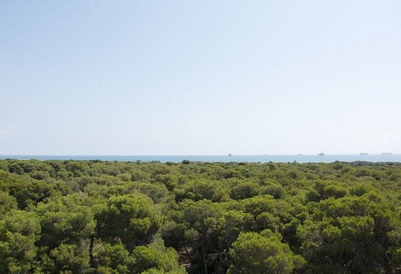 Fotos del hotel You & Co. Saler Beach Boutique:  12