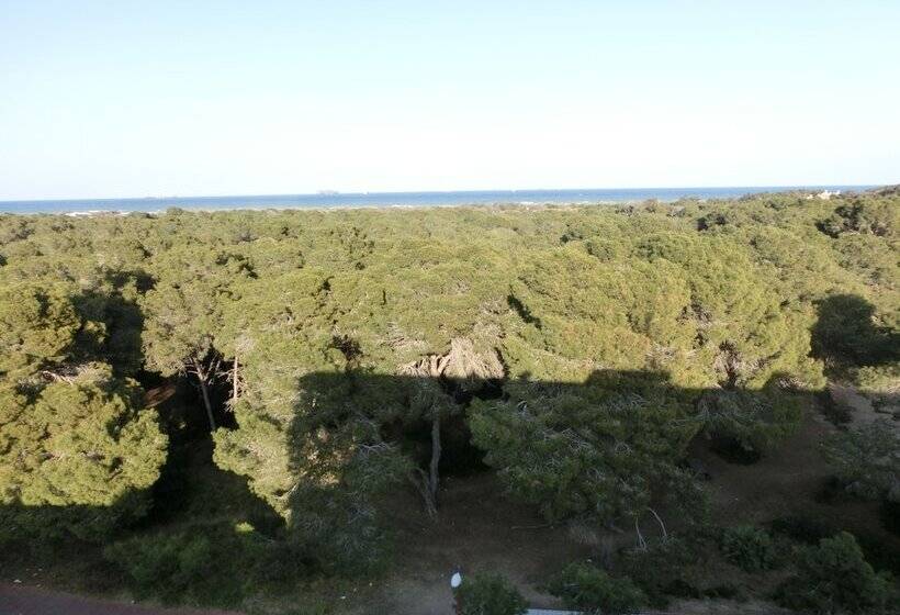 Fotos del hotel You & Co. Saler Beach Boutique:  6