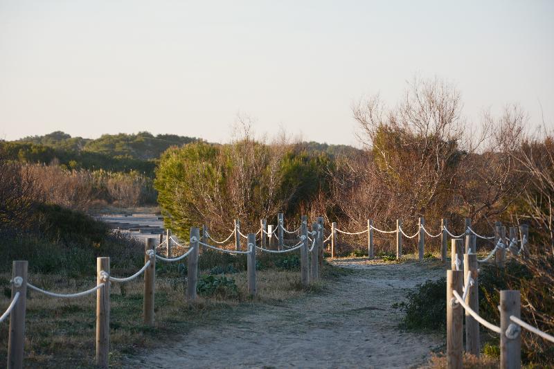 Fotos del hotel You & Co. Saler Beach Boutique:  17