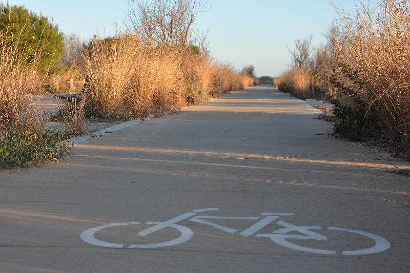 Fotos del hotel You & Co. Saler Beach Boutique:  18