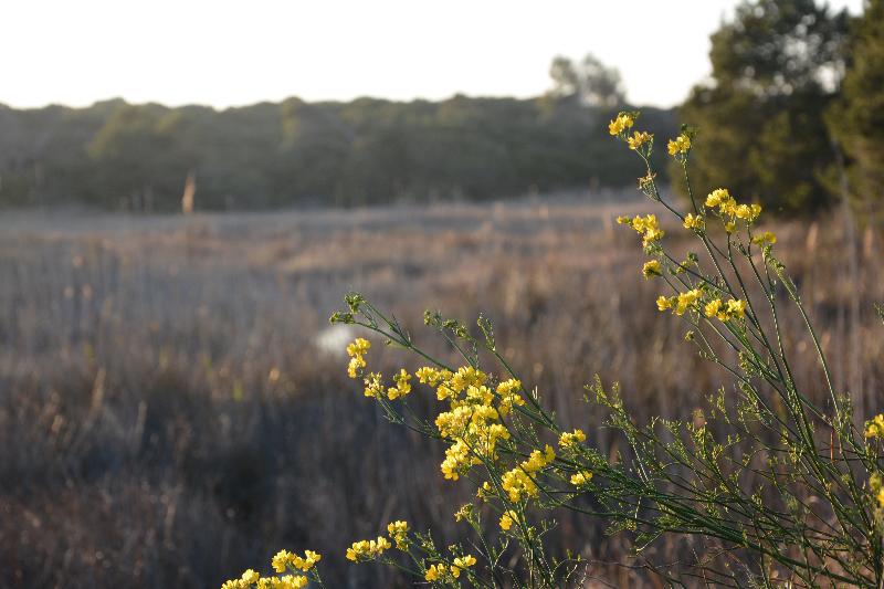 Fotos del hotel You & Co. Saler Beach Boutique:  24