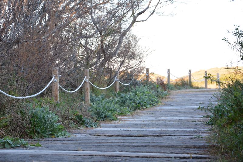 Fotos del hotel You & Co. Saler Beach Boutique:  26