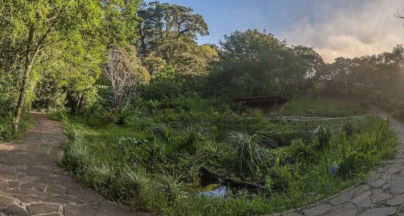 Fotos del hotel Koora:  22