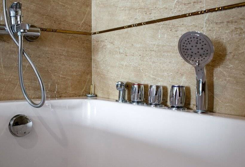 Fotos del hotel Alisa Hotel & Spa:  8