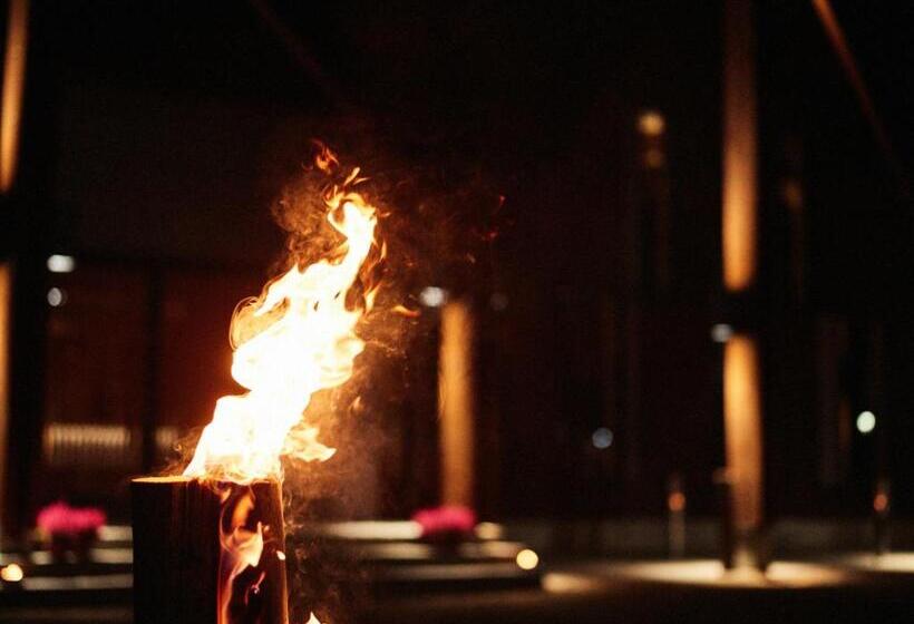 Fotos del hotel Nova Skyland:  17