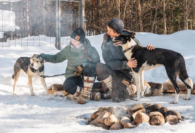 Fotos del hotel Nova Skyland:  23