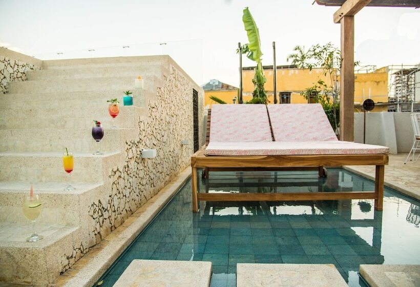 Fotos del hotel Soy Local Insignia:  14