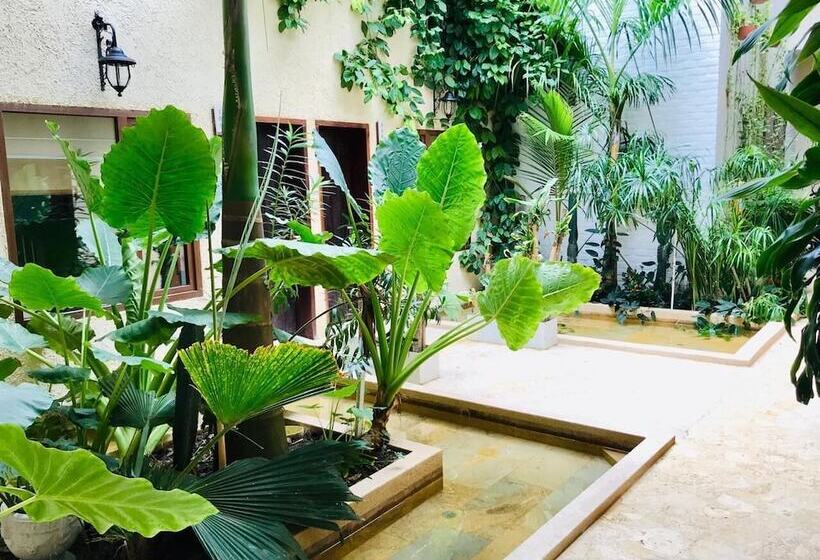 Fotos del hotel Soy Local Insignia:  4