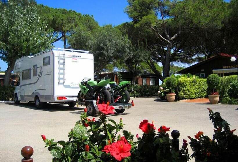 Camping Vall D’or