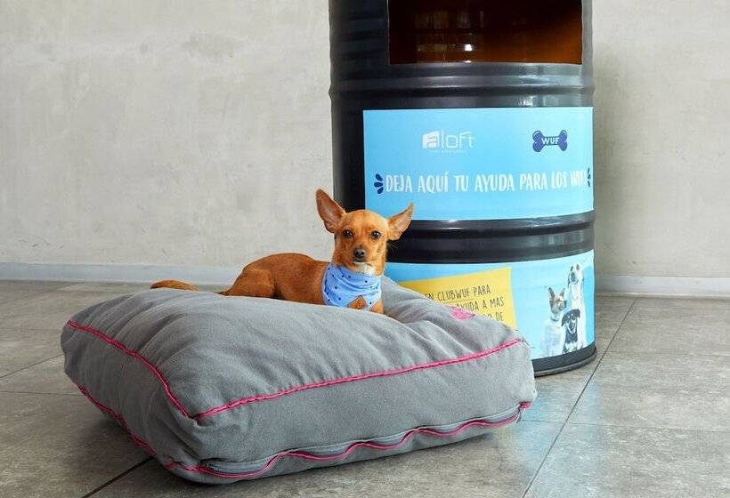 Fotos del hotel Aloft Lima Miraflores, A Marriott:  18