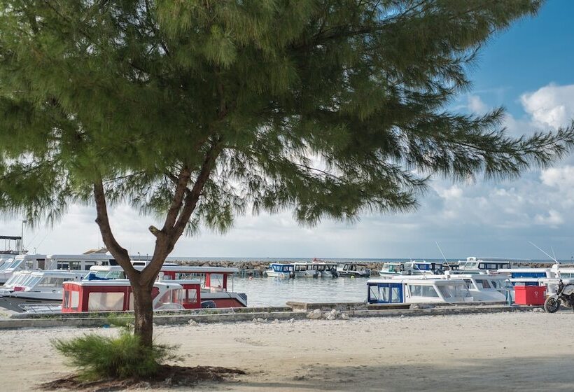 Fotos del hotel Marina Sunset View:  17