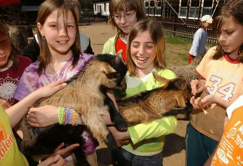 Fotos del hotel Waldhotel Am Aschergraben:  10