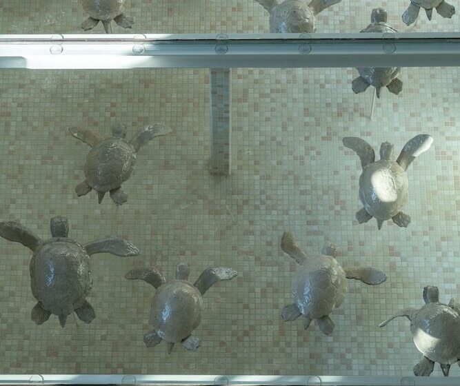 Fotos del hotel Cocomat Athens Bc:  19