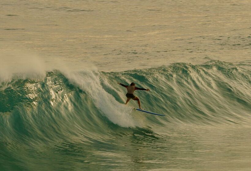 Fotos del hotel Amanera:  12