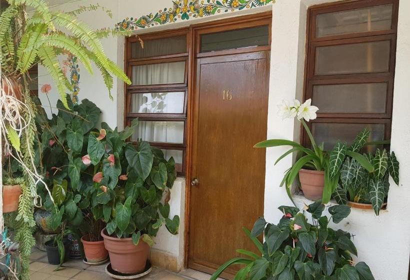 Fotos del hotel Villa Lourdes:  5