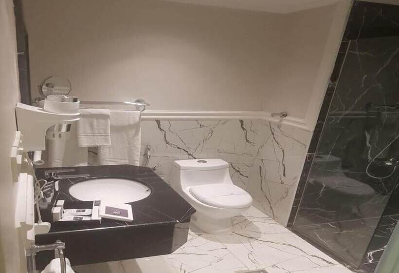 Fotos del hotel Grand Silverton:  9